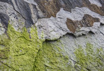 no inerte fotografías de Nuria Murillo Lara  en flysh de la Costa vasca, España