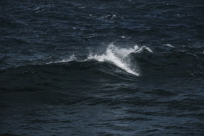 Estas imágenes  han sido realizadas en lugares muy distantes, en dos océanos que sin embargo nos muestran la misma danza de las olas.   Archipiélago  Canario ,Océano Atlántico      Archipíelago 