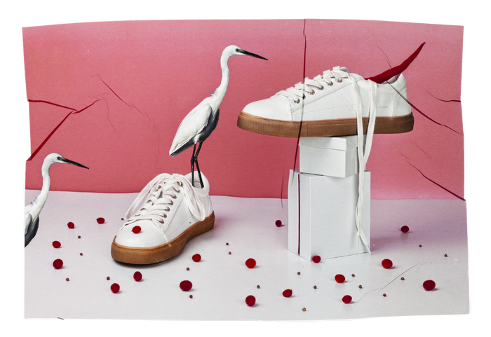 transferencia de emulsion de zapatillas blancas con guindilla roja