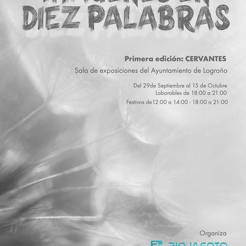 Imágenes en Diez Palabras: Primera Edición- Cervantes