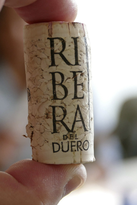 DO Ribera del Duero