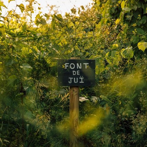 Finca Mas Escorpí