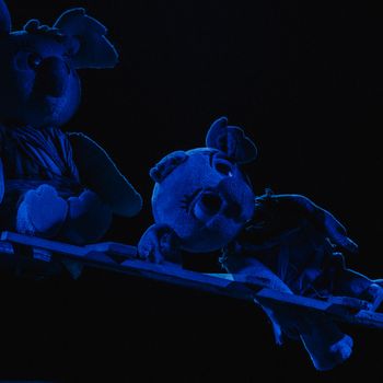 Bunji, la petita koala - Festuc teatre (Fetén, Gijón) 28/02/2023