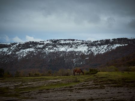 Navarra