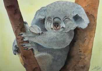 Koala - 31x23cm