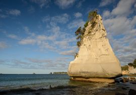 Sandstone cliffs, Cathedral Cove, Hahei, Waikato