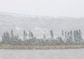 Tormenta de nieve en Midway Lake. Dempster Highway. Northwest Territories