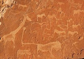 Animals engravings. Twyfelfontein, Namibia