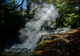 Thermal steams, Kerosene Creek, Wai-O-Tapu