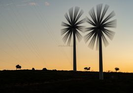 Wind Turbines at dusk