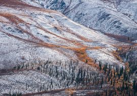 Fall - winter at Klondike. Dempster Highway. Yukon