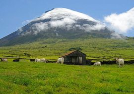 Volcano. Montanha do Pico Natural Reserve