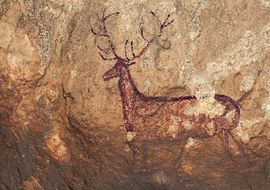 Deer cave painting. Sierra de Guara
