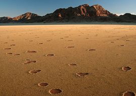Funghi circles. Namibia
