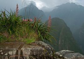 Inca fountain. The Felix's painting. Machu Picchu