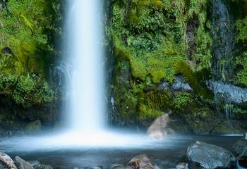 Dawson Fall, Egmont National Park, Taranaki