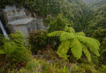 Mt Damper Fall, Ahititi, Taranaki