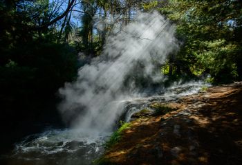 Thermal steams, Kerosene Creek, Wai-O-Tapu