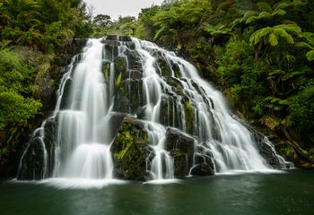 Owharoa Falls, Karangahake Gorge Reserve, Waikato