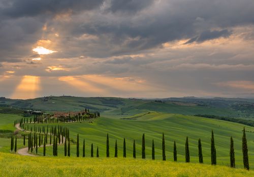 TOSCANA MAYO 2024