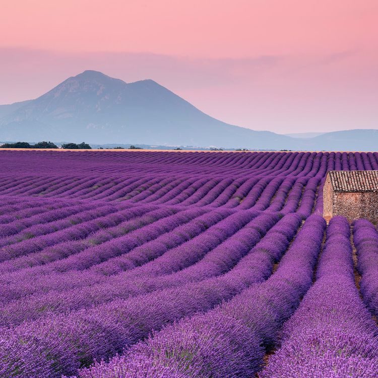 Provence