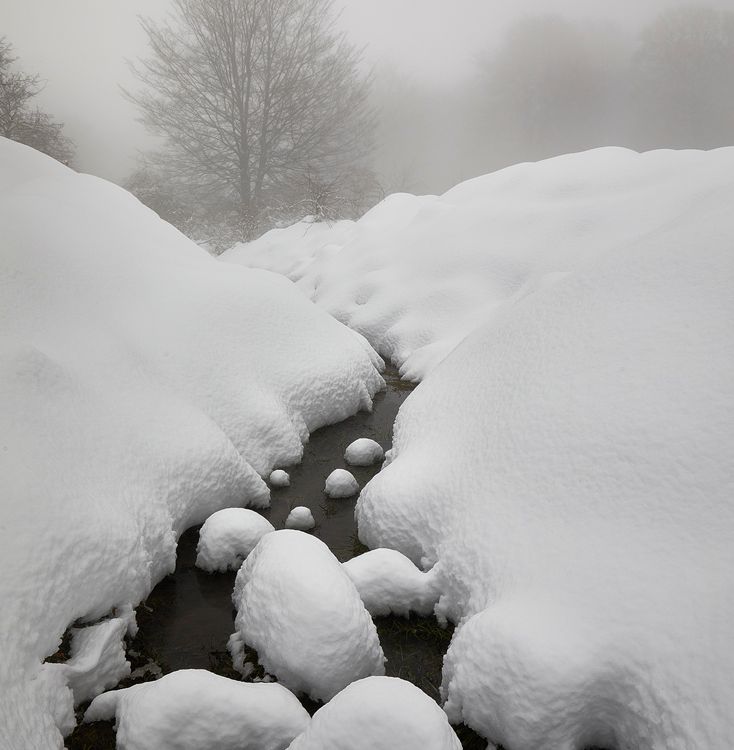 mundo blanco