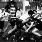 Fotografía Rugby