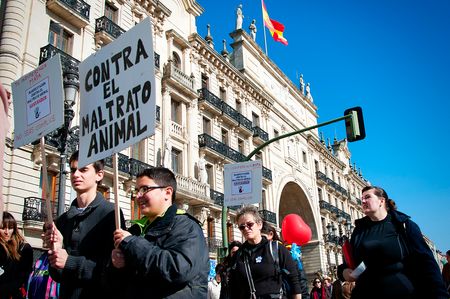 Fotografía manifestación Santander